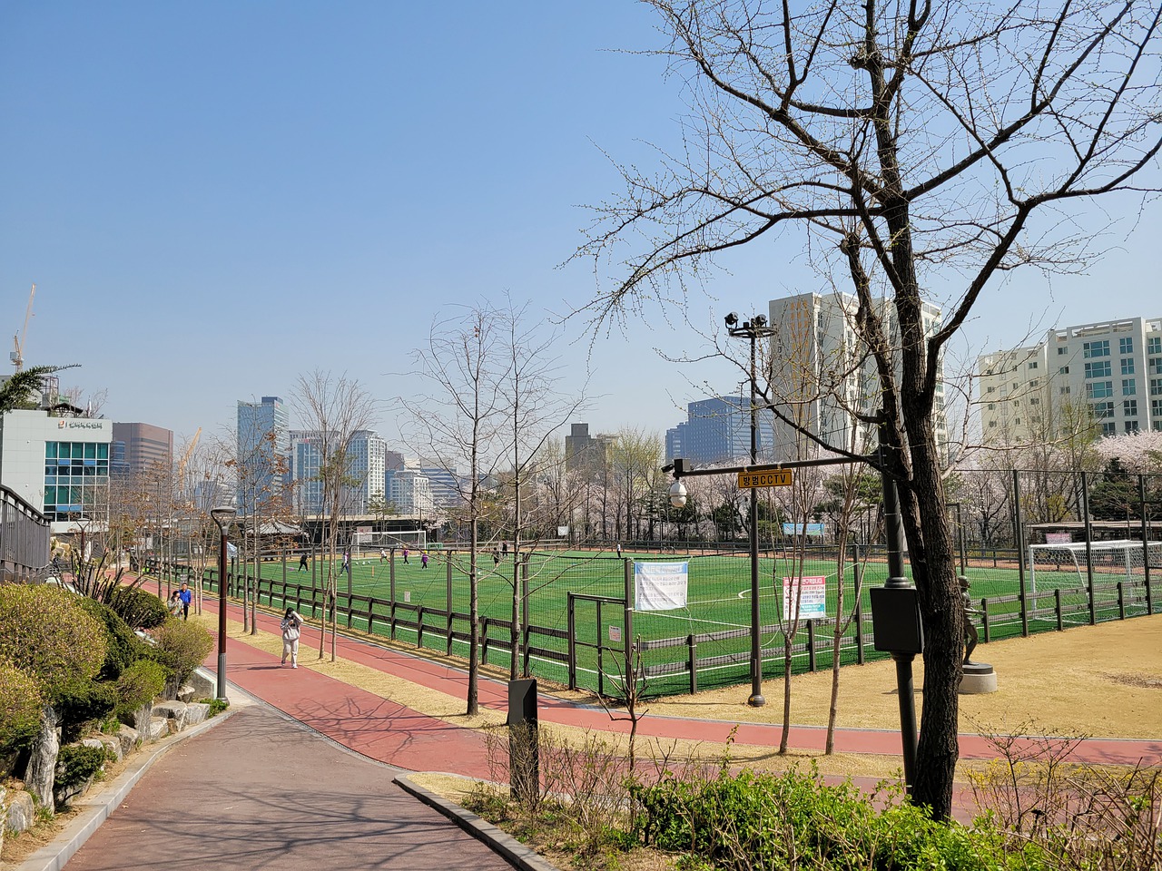 甲赛场上