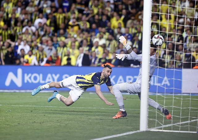 或许在没有 或许在没有