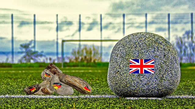 情感纽带 情感纽带