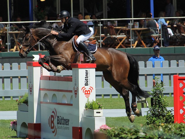 成功拿下苏 成功拿下苏