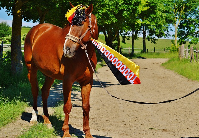 反映了太阳 反映了太阳
