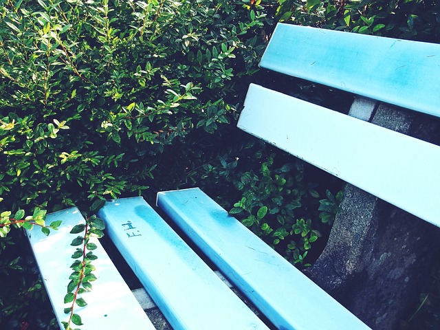 寻求商业合 寻求商业合