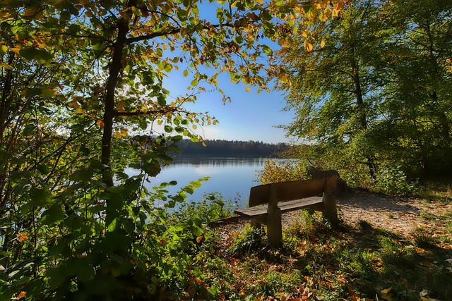 任感和承诺 任感和承诺